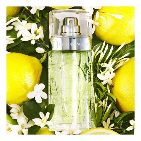 ô de l'orangerie lancôme eau de toilette|o de lancome 200 ml.